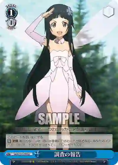 sao_s51_095 SAO/S51-095 U 調査の報告