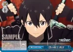 SAO/S51-096 U オーディナル・ナンバー1