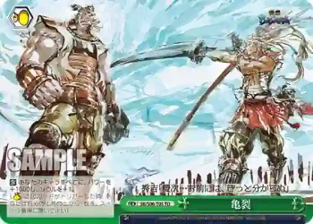 SB/S06-T05 TD 亀裂