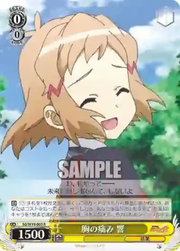 SG/W19-003 R 胸の痛み 響