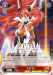 SG/W19-052 RR 勝ち取った力 奏