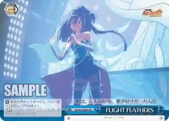 SG/W19-098 CR FLIGHT FEATHERS
