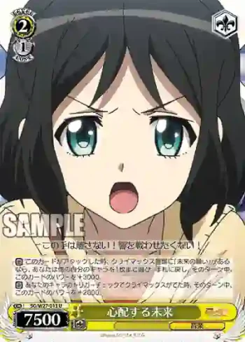 SG/W27-013 U 心配する未来