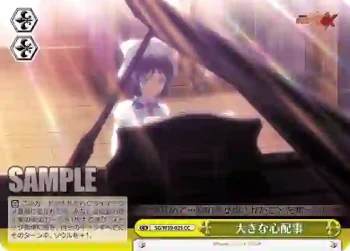 SG/W39-025 CC 大きな心配事