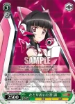 SG/W39-025 CC 大きな心配事