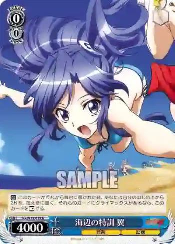 SG/W39-079 R 海辺の特訓 翼