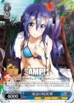 SG/W39-079 R 海辺の特訓 翼