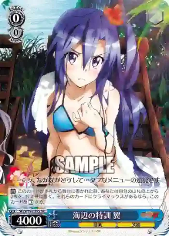 SG/W39-079S SR 海辺の特訓 翼