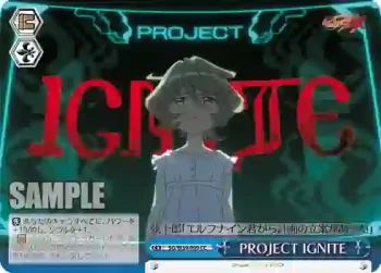 SG/W39-099 CC PROJECT IGNITE