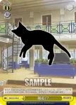 SGS/S37-045 U 放課後の2人