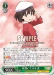 SHS/W56-032 RR 理想の女の子 恵
