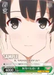 SHS/W56-035 R フラグの立たない彼女 恵