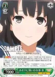 SHS/W56-038S SR あまりに薄い存在感 恵