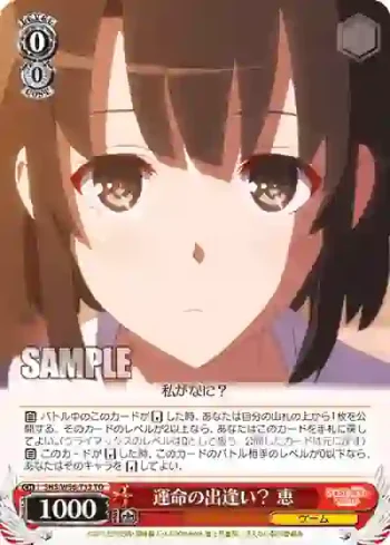 SHS/W56-T13 TD 運命の出逢い？ 恵