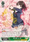 SHS/W71-035 RR 揺れ動く心 恵