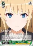 SHS/W71-046 C コーディネーター 恵