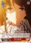 SHS/W71-072 C 欲しかったもの 恵