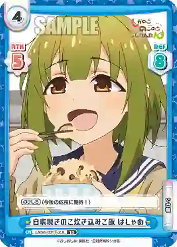 SKNK/001T-016 TD 自家製きのこ炊き込みご飯 ばしゃめ