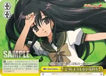 SS/W14-029 CC どうしようもない気持ち