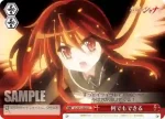 SS/W14-069 CC 掴んだ手掛かり