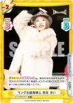 STD/002B-047 RR リングの超貴婦人 桜井 まい