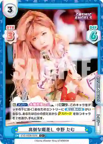 STD/002B-052S C+ 真剣な眼差し 中野 たむ