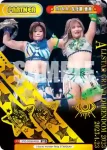 STD/002B-P026 BP ＭＩＲＡＩ＆壮麗 亜美