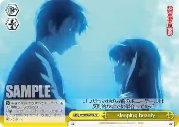 SY/W08-024 CC sleeping beauty_