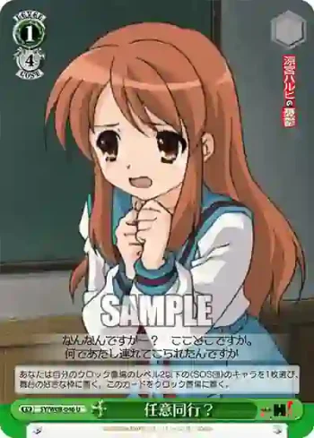 SY/W08-046 U 任意同行？