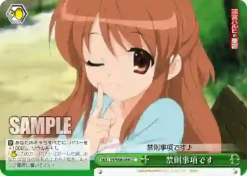 SY/W08-049 CC 禁則事項です