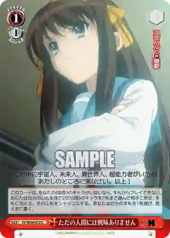 SY/W08-072 C ただの人間には興味ありません