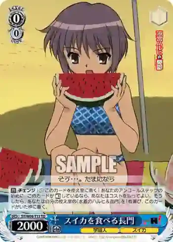SY/W08-T13 TD スイカを食べる長門