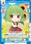TH/001B-057S(再録版) R+ 四季のフラワーマスター 幽香