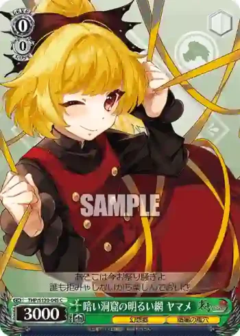 THP/S130-045 C 暗い洞窟の明るい網 ヤマメ
