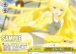 TL/W42-029 CC 変身の暴走