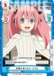 TS/001B-085 C クリスマスケーキ ミリム