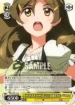 VR/W22-009 U 水着のひまわり