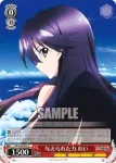VR/W22-064 C 偉大な科学者 健次郎