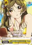 VR/W22-P05 PR 真夏の海辺 ひまわり