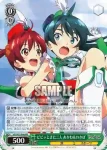 VR/W22-P05 PR 真夏の海辺 ひまわり