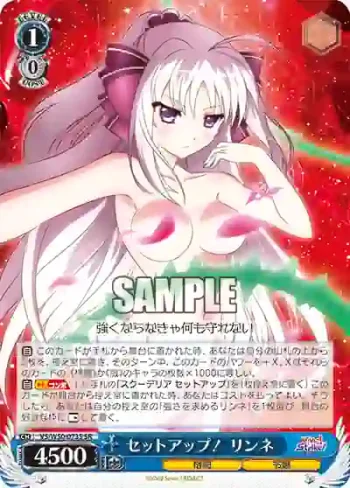 VS/W50-073S SR セットアップ！ リンネ
