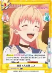 WW/002B-011S R+ 魔法で大活躍 ニコ