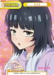 WW/002B-P009 NBP ウルフィ