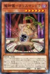 25DB-JP010 P 竜剣士ラスターＰ