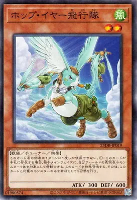 25DB-JP019 P ホップ・イヤー飛行隊