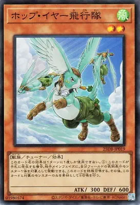 25DB-JP019 SR ホップ・イヤー飛行隊