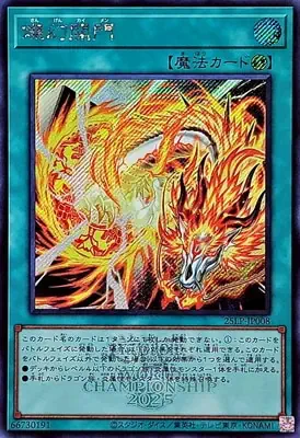 (WCS2025)25LP-JP008 SE 燦幻開門