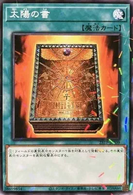 25TP-JP209 P 太陽の書