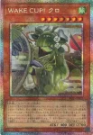 BLZD-JP029 SE 道化の一座 フレア