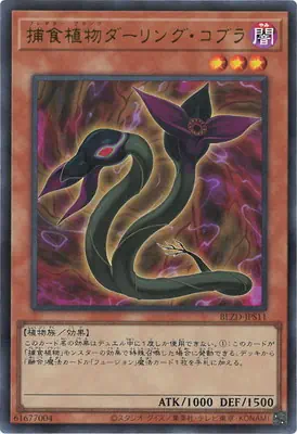 BLZD-JPS11 UR 捕食植物ダーリング・コブラ